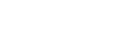 Viking Labs